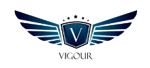 Vigour Auto Detailing LLC